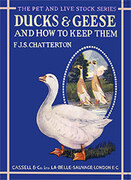 La Belle Sauvage  Ducks & Geese greeting card